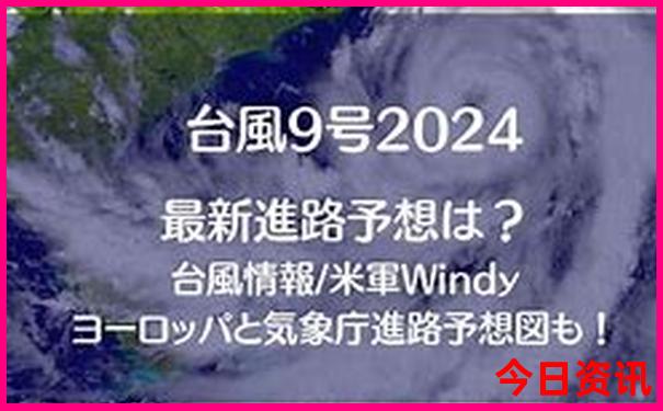 单挑一注精选号