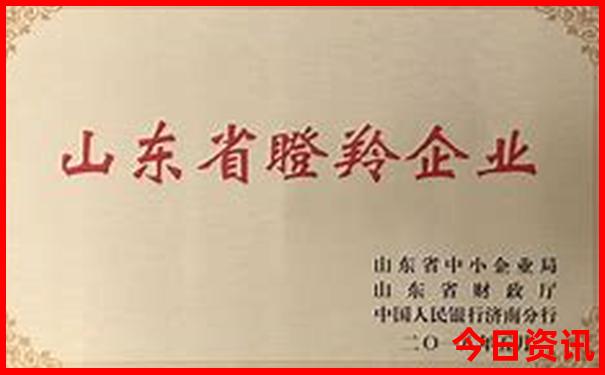 最适合夏天旅游的地方