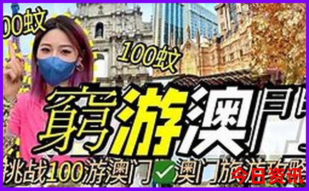 去旅游在哪里报团